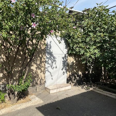 Apartment In The City Center With The Garden Erivan Dış mekan fotoğraf