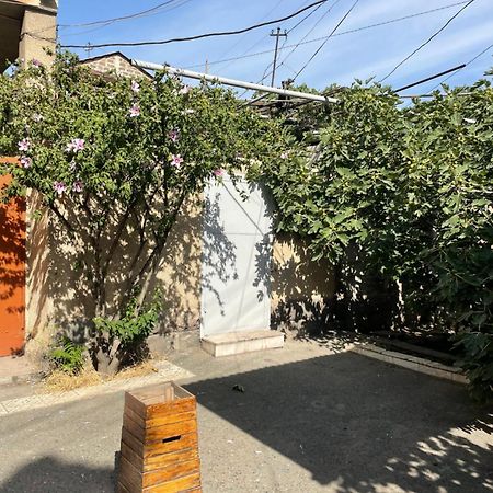 Apartment In The City Center With The Garden Erivan Dış mekan fotoğraf