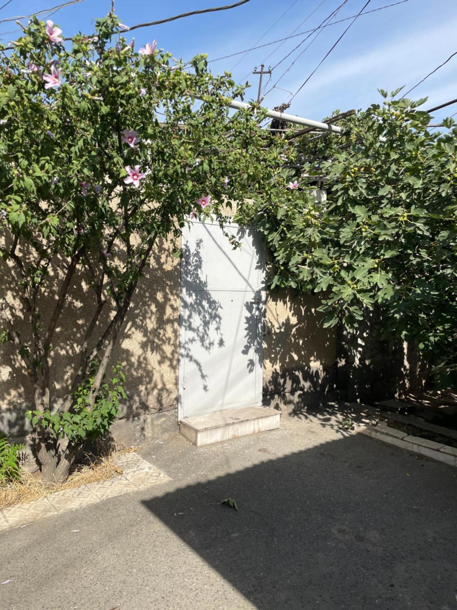 Apartment In The City Center With The Garden Erivan Dış mekan fotoğraf